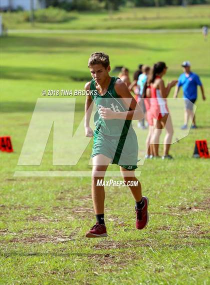 Thumbnail 2 in NCSHAA  3-A Coastal Conference Cross Country Championships photogallery.