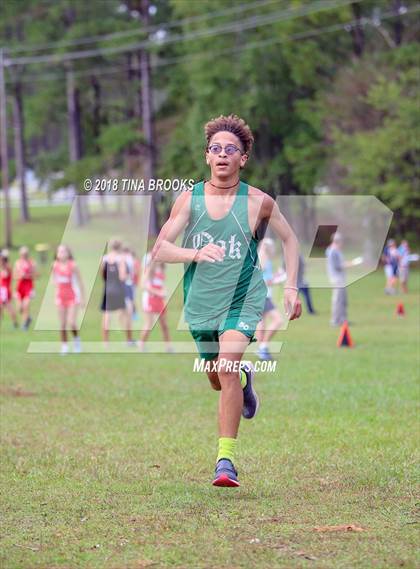 Thumbnail 2 in NCSHAA  3-A Coastal Conference Cross Country Championships photogallery.