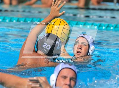 Thumbnail 3 in Capistrano Valley @ Villa Park photogallery.