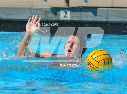 Thumbnail 3 in Capistrano Valley @ Villa Park photogallery.