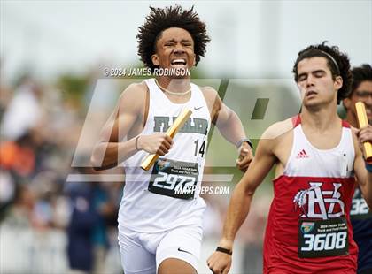 Thumbnail 2 in FHSAA 4A Finals (4 x 800 Meter) photogallery.