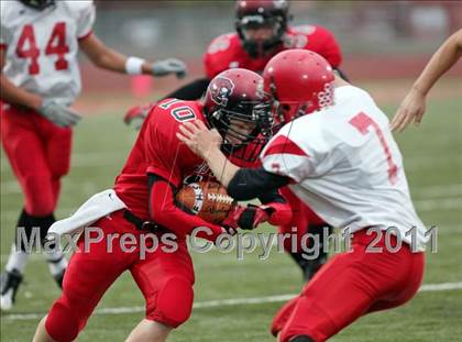 Thumbnail 1 in Chico @ Foothill  photogallery.