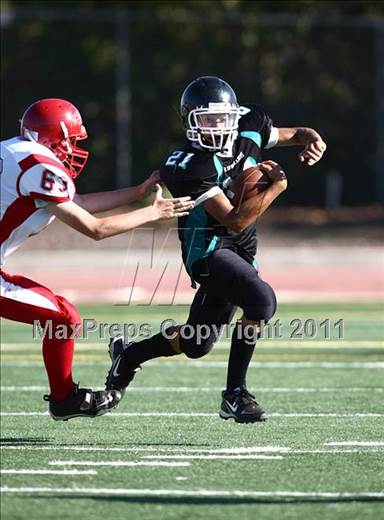 null - Photo 11