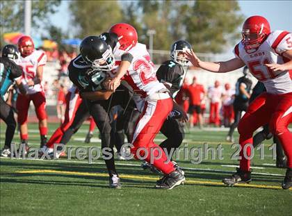 Thumbnail 2 in JV: Lodi @ Sheldon photogallery.