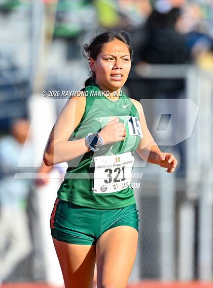 Thumbnail 1 in Guy Thomas Memorial (3200 Meter) photogallery.