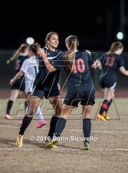 Thumbnail 3 in Williams Field @ Basha photogallery.
