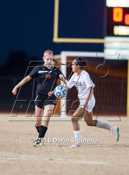 Thumbnail 1 in Williams Field @ Basha photogallery.