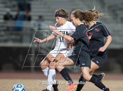 Thumbnail 1 in Williams Field @ Basha photogallery.
