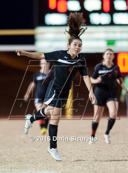 Thumbnail 2 in Williams Field @ Basha photogallery.