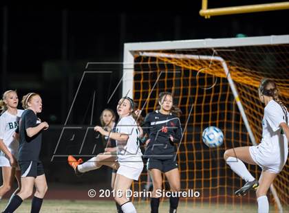 Thumbnail 2 in Williams Field @ Basha photogallery.