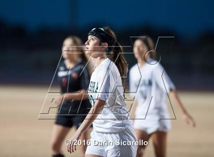 Thumbnail 2 in Williams Field @ Basha photogallery.