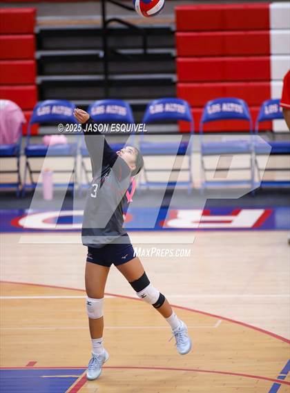 Thumbnail 3 in JV: Colony @ Los Altos photogallery.