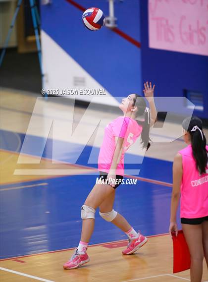 Thumbnail 1 in JV: Colony @ Los Altos photogallery.