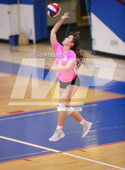 Thumbnail 3 in JV: Colony @ Los Altos photogallery.