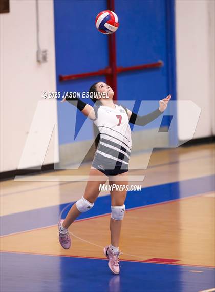 Thumbnail 3 in JV: Colony @ Los Altos photogallery.