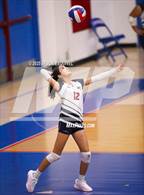 Photo from the gallery "Colony @ Los Altos"