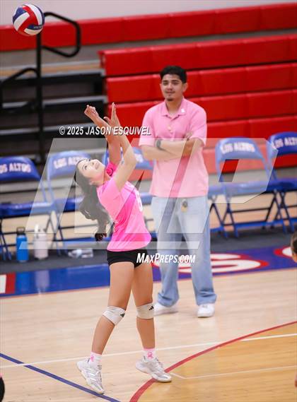 Thumbnail 1 in JV: Colony @ Los Altos photogallery.