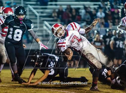 Thumbnail 1 in Jacksonville @ Havelock photogallery.