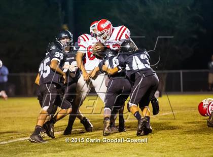 Thumbnail 2 in Jacksonville @ Havelock photogallery.