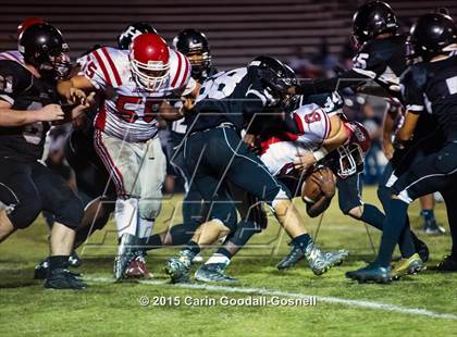Thumbnail 2 in Jacksonville @ Havelock photogallery.