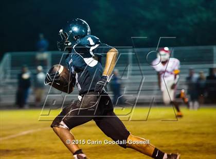 Thumbnail 1 in Jacksonville @ Havelock photogallery.