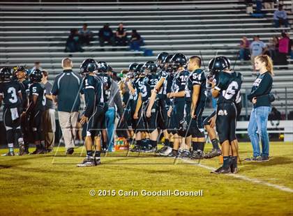 Thumbnail 3 in Jacksonville @ Havelock photogallery.