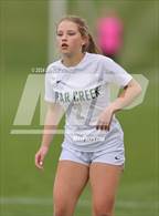 Photo from the gallery "Bear Creek @ Alameda"