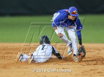 Thumbnail 2 in Wando @ James Island photogallery.