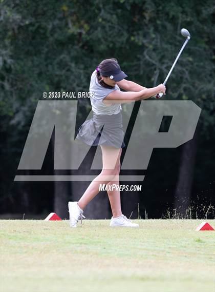 Thumbnail 3 in UIL 2A Girls Golf Finals  photogallery.