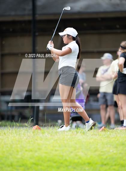 Thumbnail 2 in UIL 2A Girls Golf Finals  photogallery.
