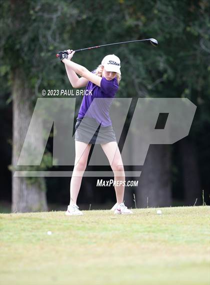 Thumbnail 1 in UIL 2A Girls Golf Finals  photogallery.