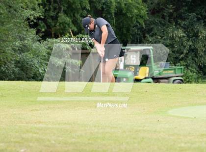 Thumbnail 1 in UIL 2A Girls Golf Finals  photogallery.
