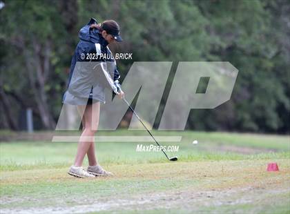 Thumbnail 1 in UIL 2A Girls Golf Finals  photogallery.