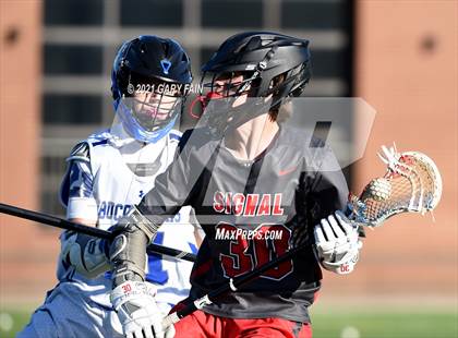 Thumbnail 2 in Signal Mountain @ Boyd-Buchanan photogallery.