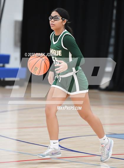 Thumbnail 1 in ThunderRidge vs. Bishop Manogue (Nike Tournament of Champions) photogallery.