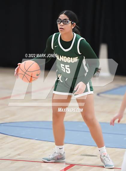 Thumbnail 1 in ThunderRidge vs. Bishop Manogue (Nike Tournament of Champions) photogallery.