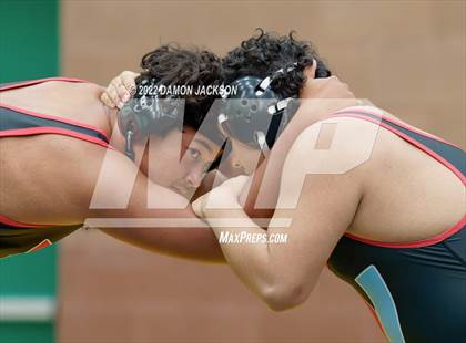 Thumbnail 1 in Virgin Valley Bulldogs Growler photogallery.