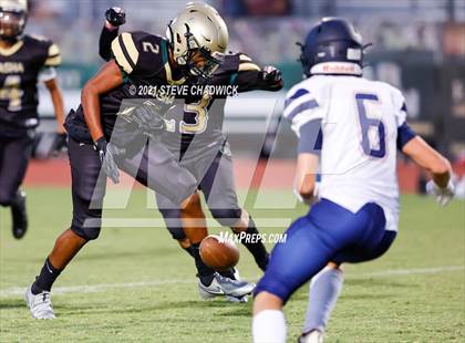 Thumbnail 1 in Perry @ Basha photogallery.