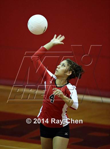 null - Photo 01