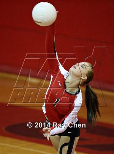 null - Photo 01