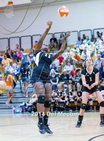 Thumbnail 3 in Strawberry Crest @ Plant City photogallery.