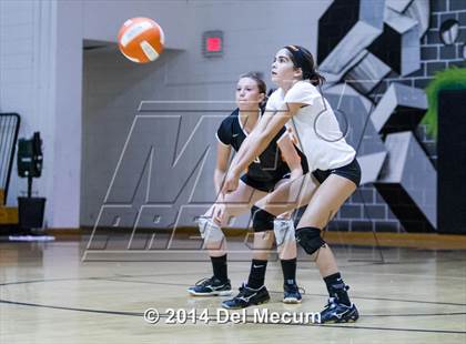 Thumbnail 1 in Strawberry Crest @ Plant City photogallery.