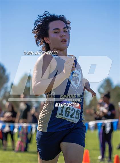 Thumbnail 1 in NIAA 4A  Desert League Regionals photogallery.