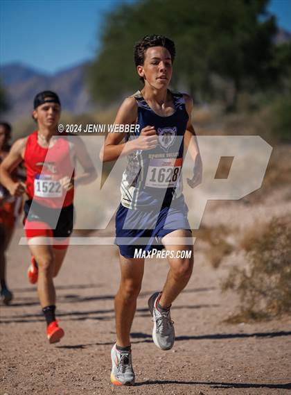 Thumbnail 2 in NIAA 4A  Desert League Regionals photogallery.