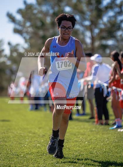 Thumbnail 1 in NIAA 4A  Desert League Regionals photogallery.