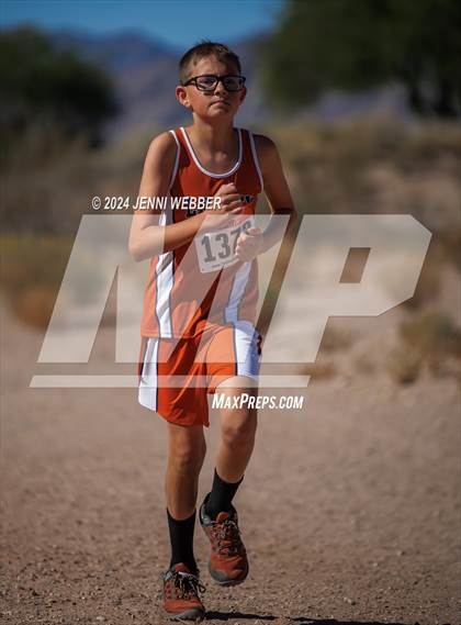 Thumbnail 3 in NIAA 4A  Desert League Regionals photogallery.