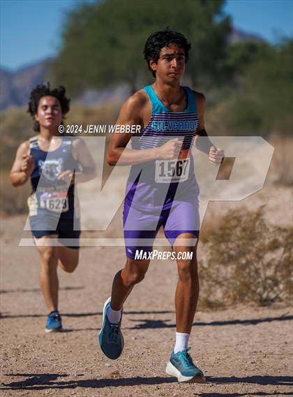 Thumbnail 3 in NIAA 4A  Desert League Regionals photogallery.