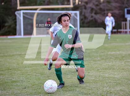 Thumbnail 1 in The Woodlands vs Grand Oaks photogallery.