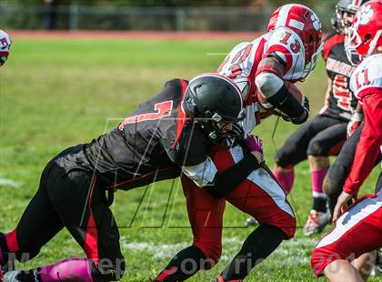 Thumbnail 1 in Milton @ Wellesley photogallery.
