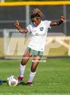 Photo from the gallery "Pine Forest @ Terry Sanford"